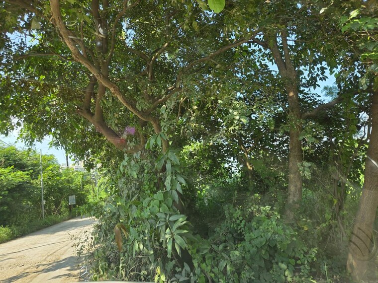 Garden, taloja  4249 Sq.Mt. Plot In Taloja Navi Mumbai 10711897