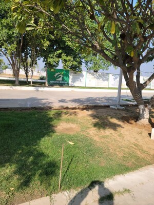  Plot For Sale in GLS Bird Estate, Badsa Sector 9