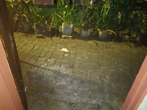 1 BHK Apartment – Exterior View View at MIG Colony Gokhalenagar, Gokhalenagar - for Rent