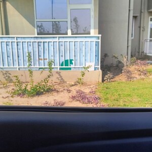 Balcony in 3 BHK Apartment at Pyramid Altia, Sector 70 – for Rent
