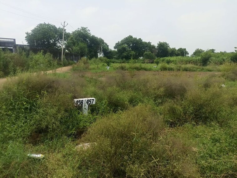 undefined, yeida-plots  100 Sq.Mt. Plot In Dankaur Greater Noida 10712262