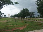 190 Sq.Yd. Plot in CBC Cosmopolis