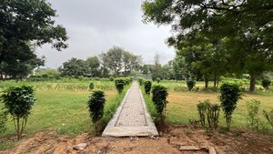 Plot Area in  Plot at Baliawas – for Sale