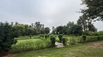 4840 Sq.Yd. Plot in Baliawas