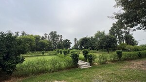  Plot For Sale in Baliawas
