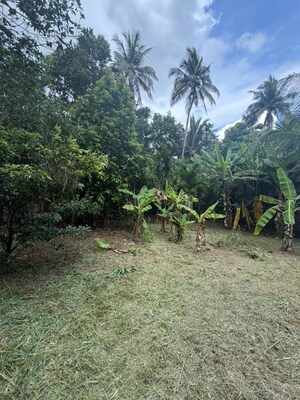  Plot For Sale in Kuttoor