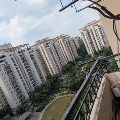 3 BHK +Apartment For Rent in Orchid Petals