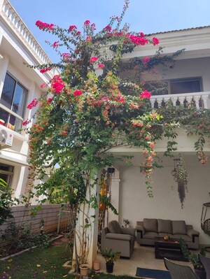 4 BHK Villa – Exterior View View at House of Hiranandani Devanahalli, Devanahalli - for Rent
