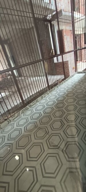 Balcony in 3 BHK Builder Floor at BPTP District 3, Sector 85 – for Sale