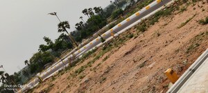 Plot Area in  Plot at Bacharam – for Sale