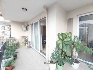 Living Room in 4 BHK Builder Floor at Sector 23 – for Rent