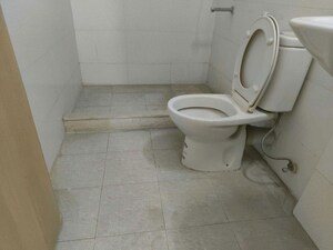 Bathroom in 3 BHK Builder Floor at Sector 21 – for Rent