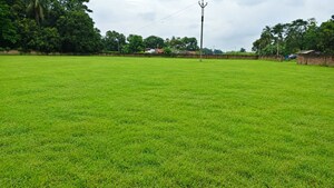  Plot – Garden View at Rajarhat - for Sale