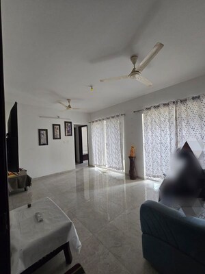 1 BHK Apartment For Rent in Rama Livmo, Hinjewadi