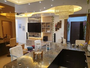 Living Room in 3 BHK Builder Floor at Sector 23 – for Rent
