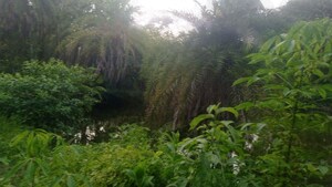  Plot – Garden View at Kolkatta Gpo - for Sale