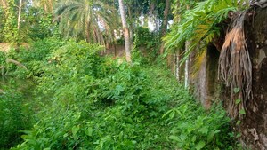  Plot – Garden View at Kolkatta Gpo - for Sale