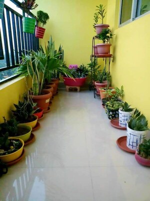Gym in  Pg at Vibhuti Khand – for Rent