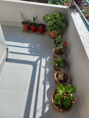 Balcony in  Pg at Vinay Khand 4 – for Rent