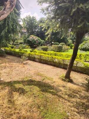 2 BHK Independent House – Garden View at Vineet Khand 6 - for Rent