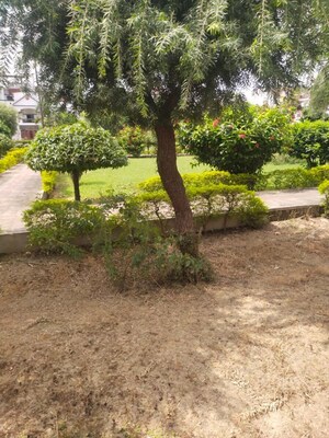 2 BHK Independent House – Garden View at Vineet Khand 6 - for Rent