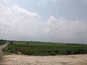 Plot Area in  Plot at Dakhena Sekhpur – for Sale