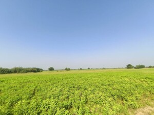  Land For Sale in Detroj