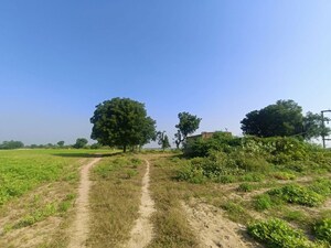 Plot Area in  Land at Detroj – for Sale