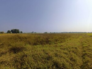 Plot Area in  Land at Detroj – for Sale
