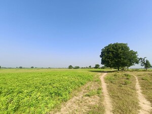Plot Area in  Land at Detroj – for Sale