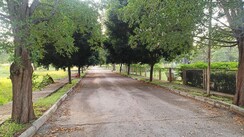 Plot For Sale in PC Park Lane