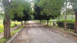  Plot For Sale in PC Park Lane, Devanahalli Road