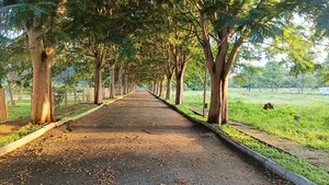 Balcony in  Plot at PC Park Lane, Devanahalli Road – for Sale