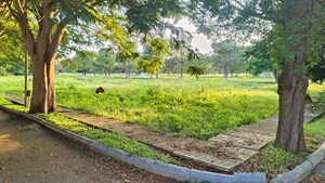 Plot Area in  Plot at PC Park Lane, Devanahalli Road – for Sale