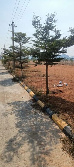 Plot For Sale in Fortune Butterfly City