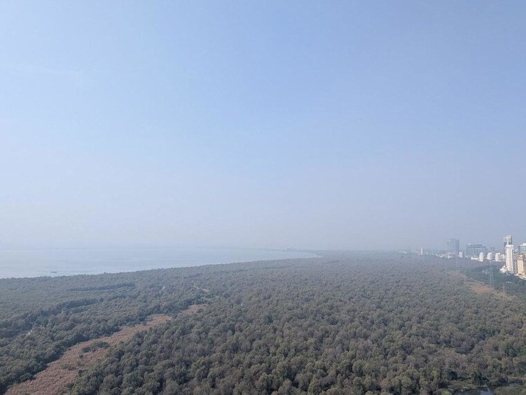 Exterior View, the-wadhwa-palm-beach-residency 2.5 Bedroom 1545 Sq.Ft. Apartment In Nerul Sector 4 Navi Mumbai 10311395