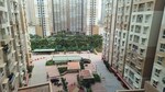 2 BHK 799 Sq.Ft. Apartment in Brigade El Dorado
