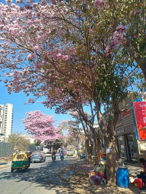 Master Plan in 3 BHK Apartment at Sobha Lake Garden, Kr Puram – for Sale