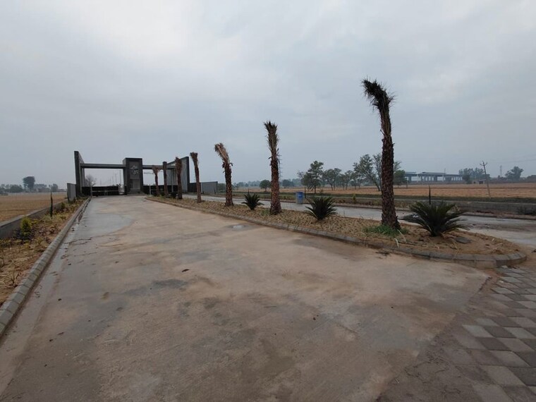 Other, bks-kjs-township  108 Sq.Yd. Plot In Daboda Khurd Jhajjar 10714686