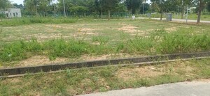  Plot For Sale in Hajjala