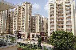 3 BHK Apartment For Sale in Tulip Orange