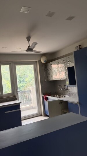 Kitchen in 3 BHK Builder Floor at New Rajinder Nagar – for Rent