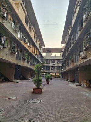 1 BHK Apartment For Rent in Ghansoli