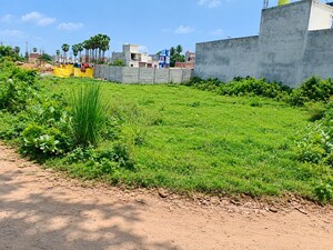  Plot For Sale in Omaxe City