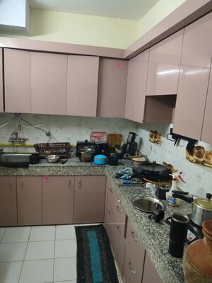 2 BHK Apartment For Rent in SCC Sapphire, Raj Nagar Extension