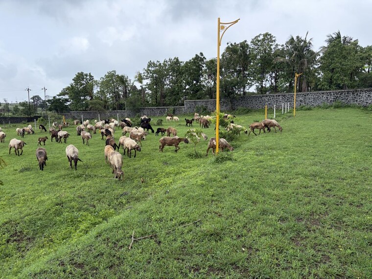 undefined, khambale  2160 Sq.Ft. Plot In Khambale Nashik 10715423
