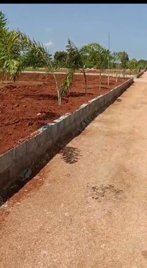  Plot For Sale in Shadnagar