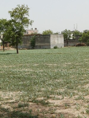 Plot Area in  Plot at Kanwara Village – for Sale