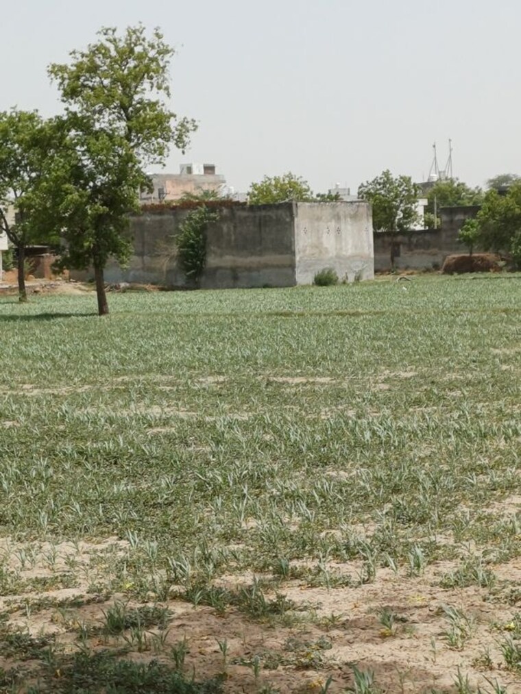 undefined, kanwara village  50 Sq.Yd. Plot In Kanwara Village Faridabad 10715777