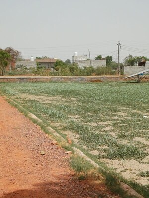  Plot For Sale in Kanwara Village